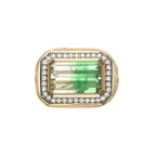 Bi-Colour Tsavorite Winter to Spring Ring